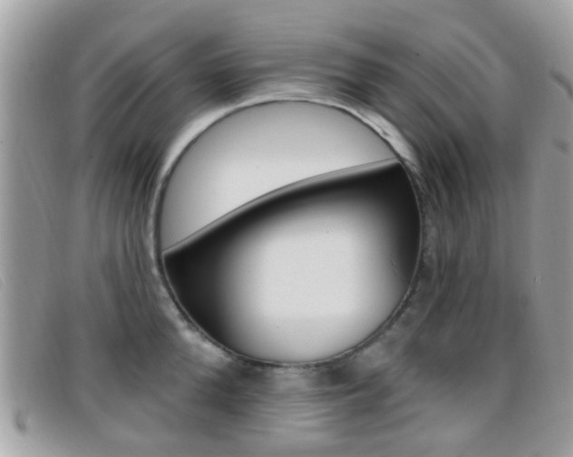 X0000096710904200802051035