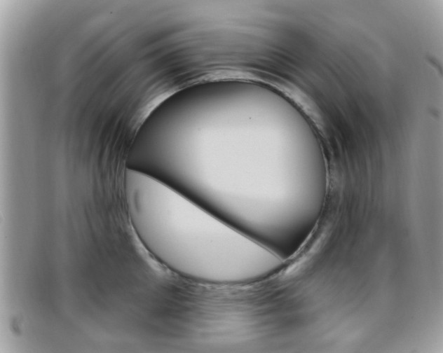 X0000096710905200802051035