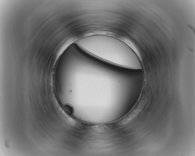 X0000096710906200802051035