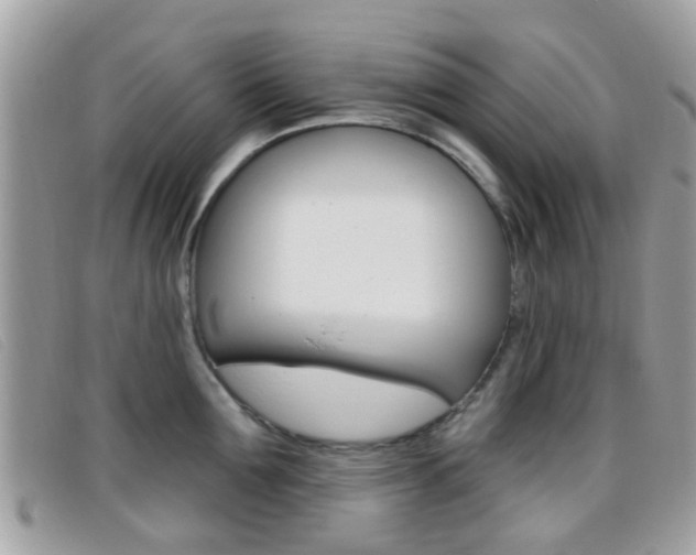 X0000096710907200802051035