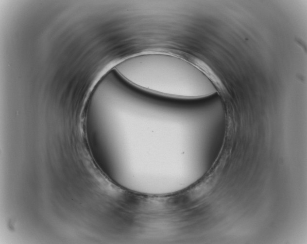 X0000096710908200802051035