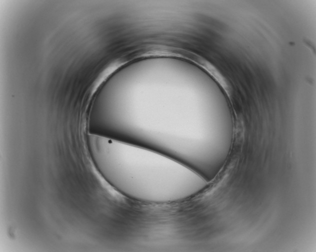 X0000096710909200802051035