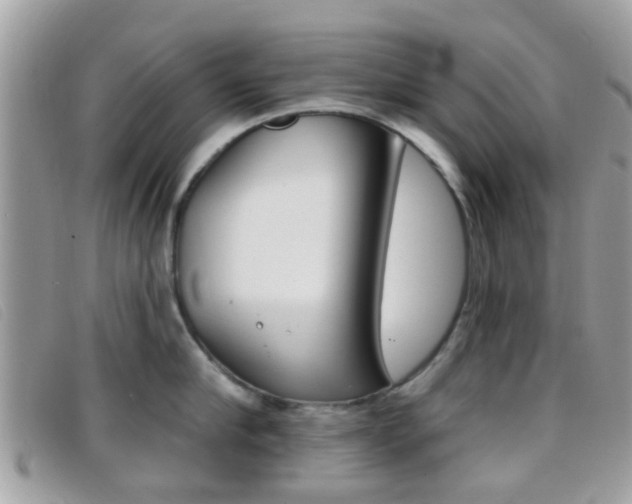 X0000096710910200802051035
