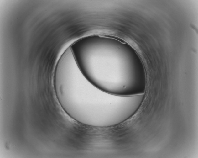 X0000096710912200802051035