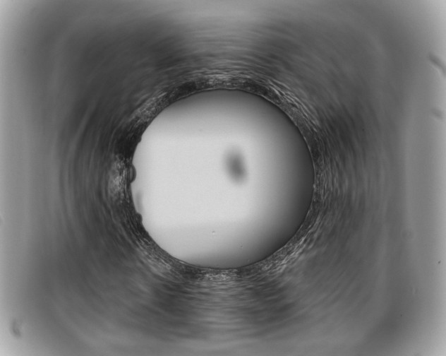 X0000096710914200802051034