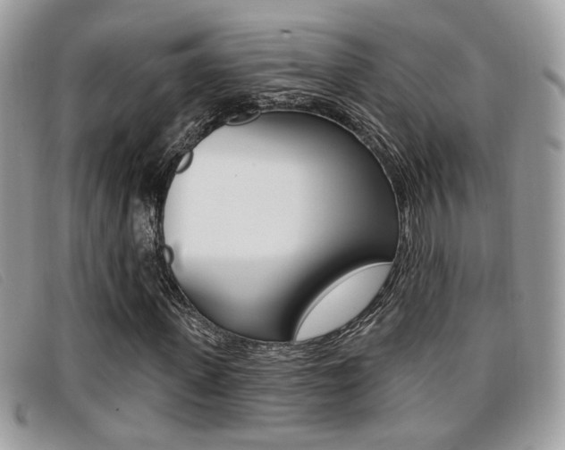 X0000096710915200802051034