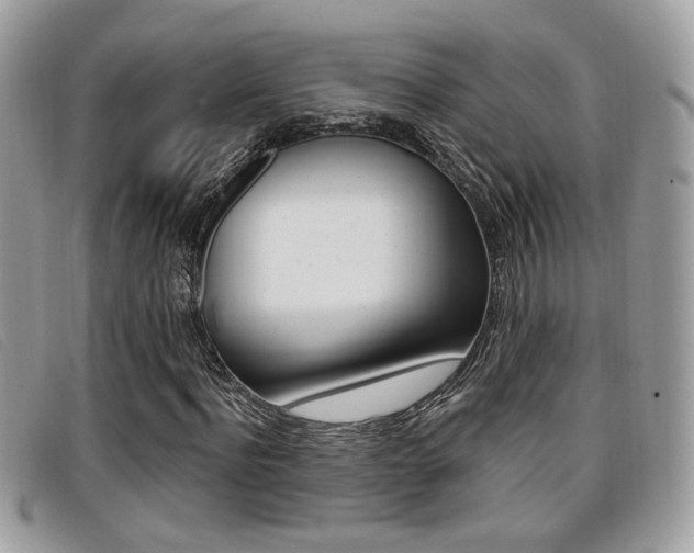 X0000096710916200802051034