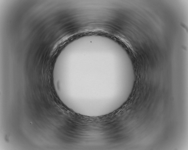 X0000096710920200802051034