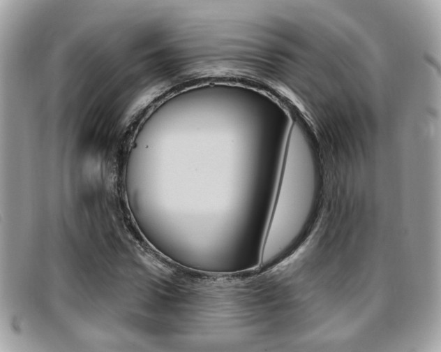 X0000096710922200802051034