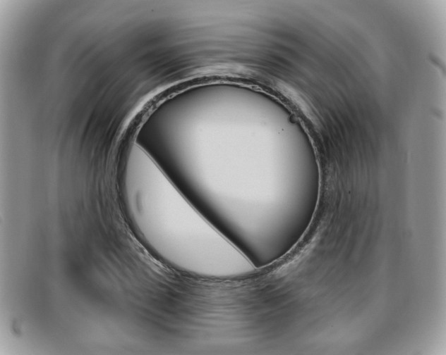 X0000096710923200802051034
