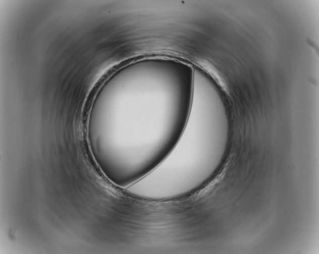 X0000096710924200802051034