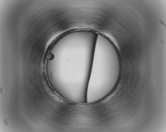 X0000096710928200802051034