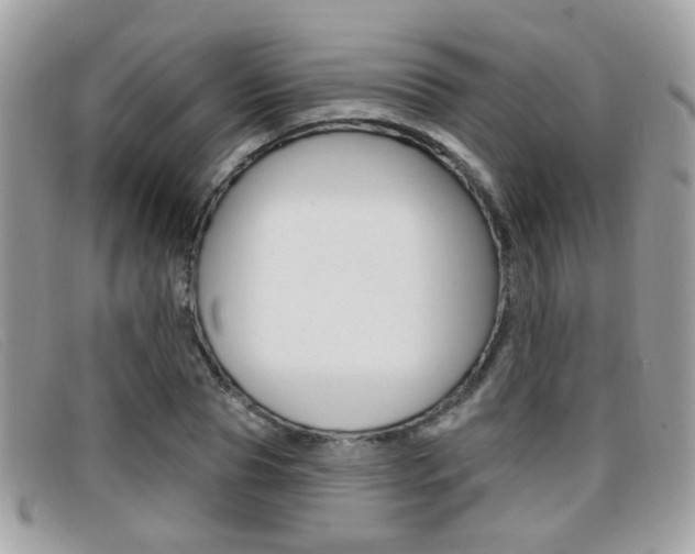 X0000096710929200802051034