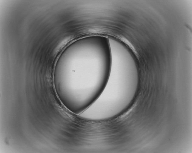 X0000096710930200802051034