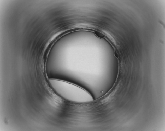 X0000096710931200802051034
