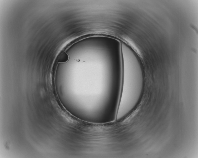 X0000096710932200802051034