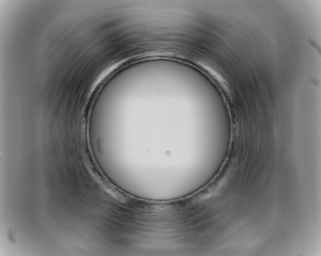X0000096710933200802051034