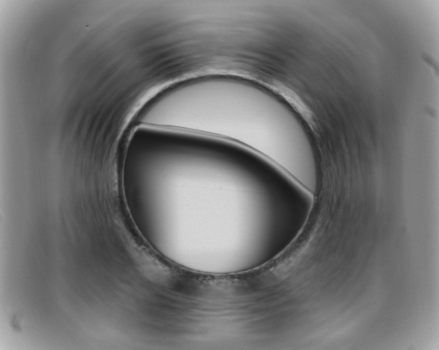 X0000096710934200802051034
