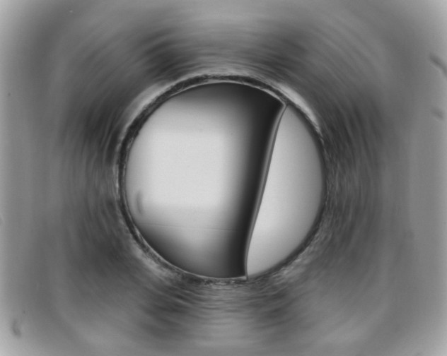 X0000096710935200802051034