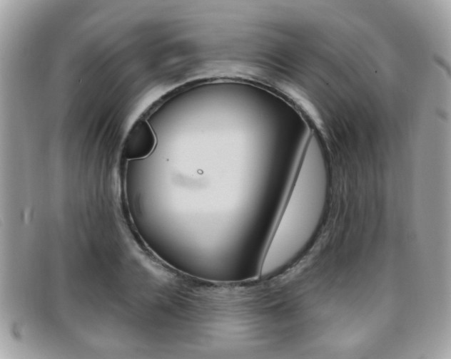 X0000096710936200802051034