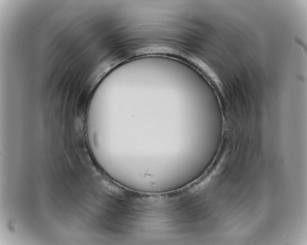 X0000096710937200802051034