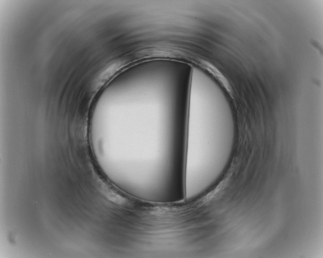X0000096710938200802051034