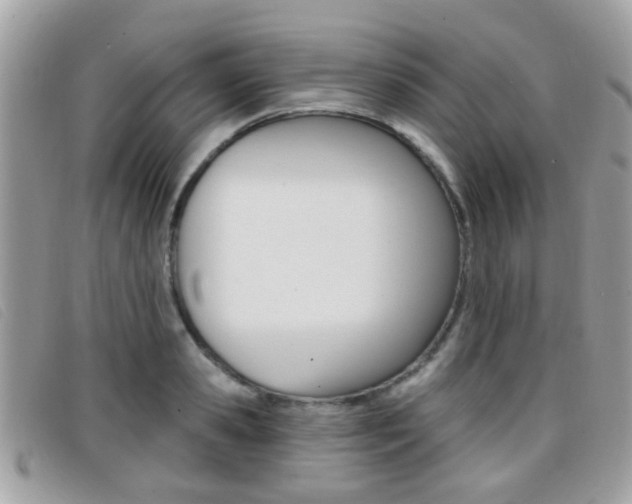 X0000096710941200802051034