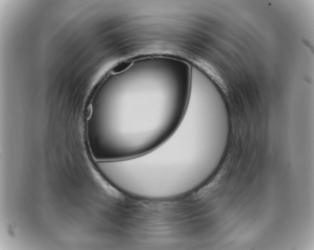 X0000096710942200802051034
