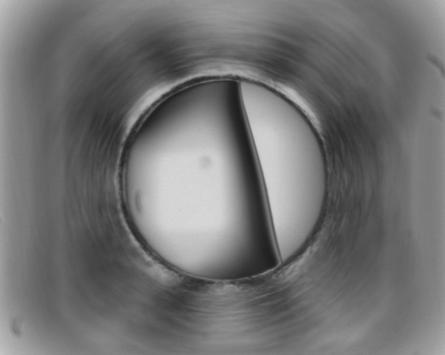 X0000096710943200802051034