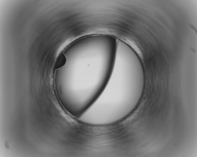 X0000096710944200802051034