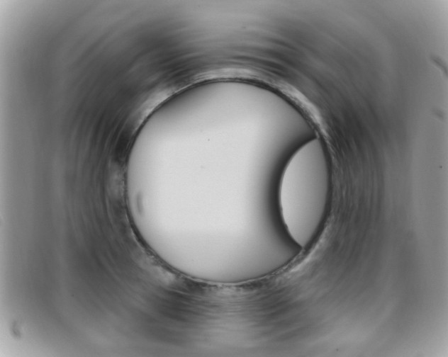X0000096710945200802051034
