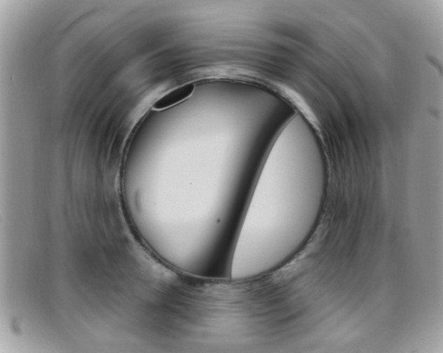 X0000096710946200802051034