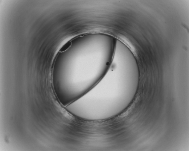 X0000096710948200802051034