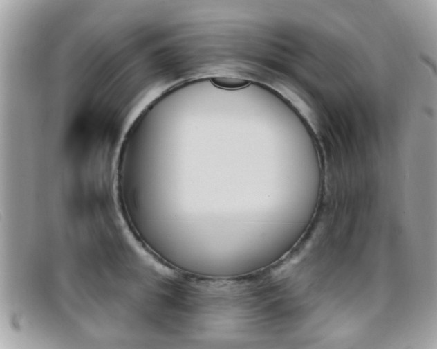 X0000096710949200802051034