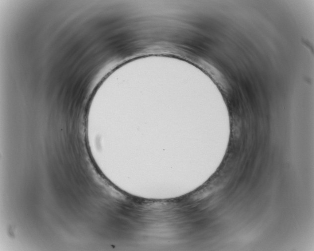 X0000096710950200802051034