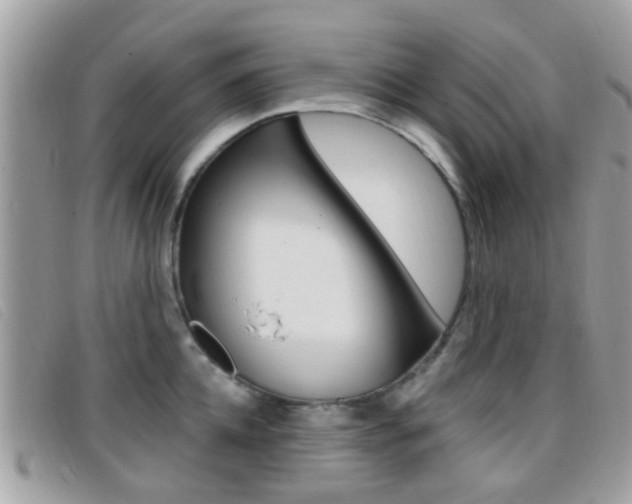 X0000096710952200802051034