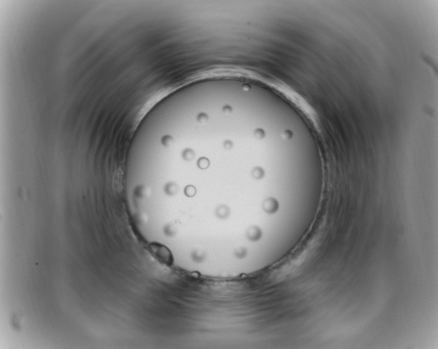 X0000096710953200802051034