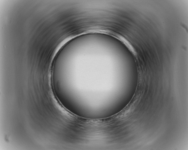 X0000096710955200802051034