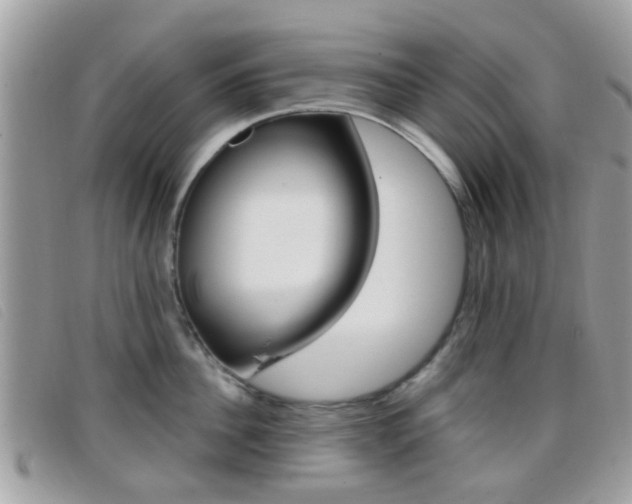 X0000096710956200802051034