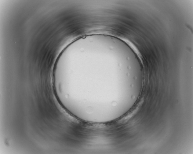 X0000096710957200802051034