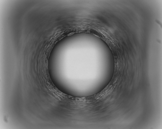 X0000096710961200802051034