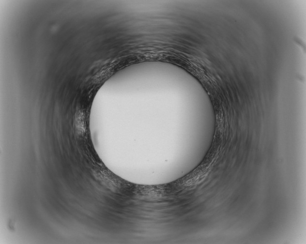 X0000096710962200802051034
