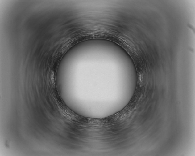 X0000096710963200802051034