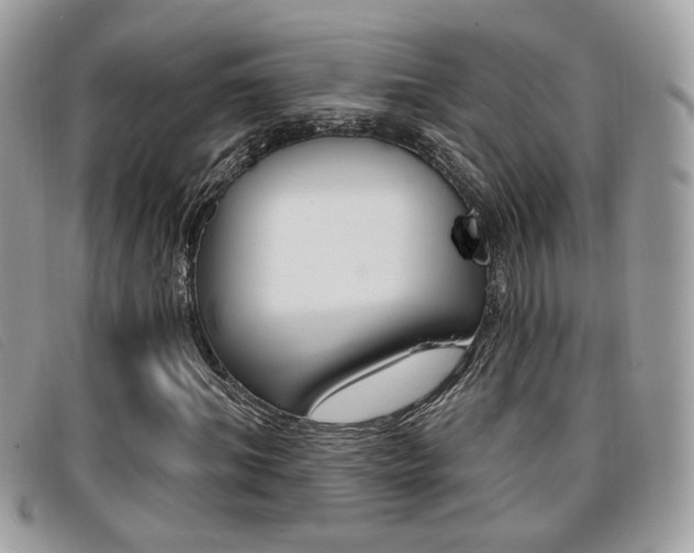 X0000096710964200802051034