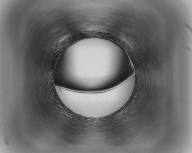 X0000096710965200802051034