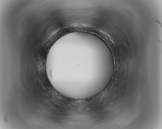 X0000096710966200802051034