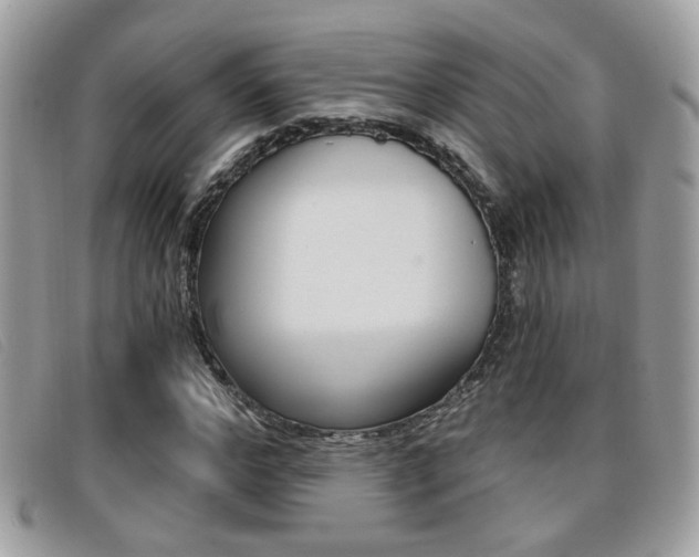 X0000096710968200802051034