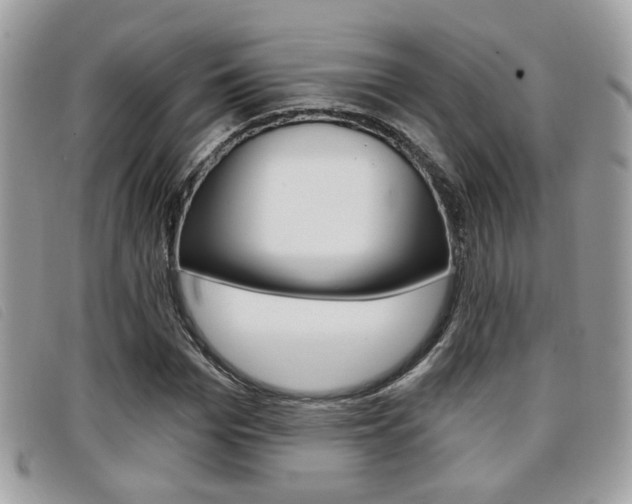 X0000096710969200802051034
