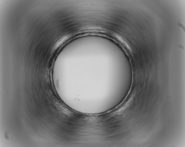 X0000096710970200802051034