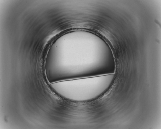 X0000096710971200802051034